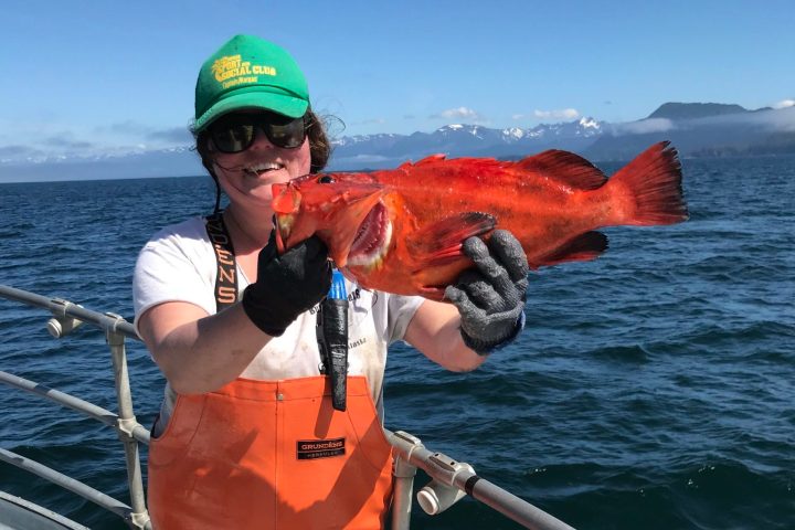 rockfish