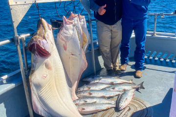 a person holding a fish