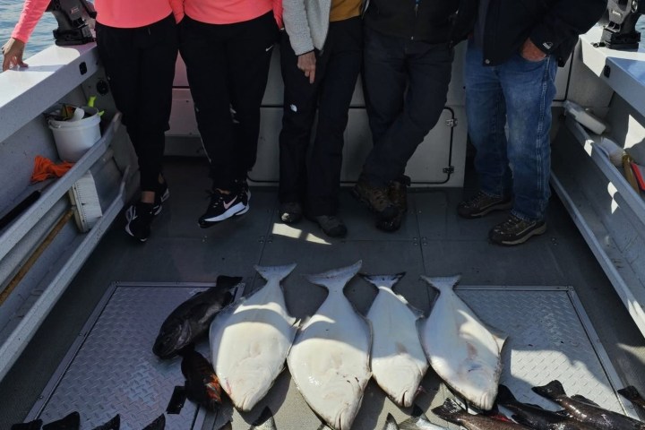 Five people on a boat with a catch of fish, including halibut and salmon, laid out on the deck.